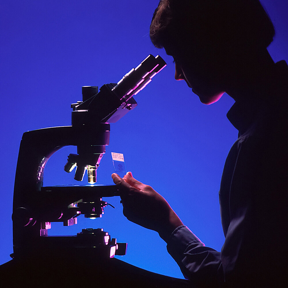 Microscope Homme