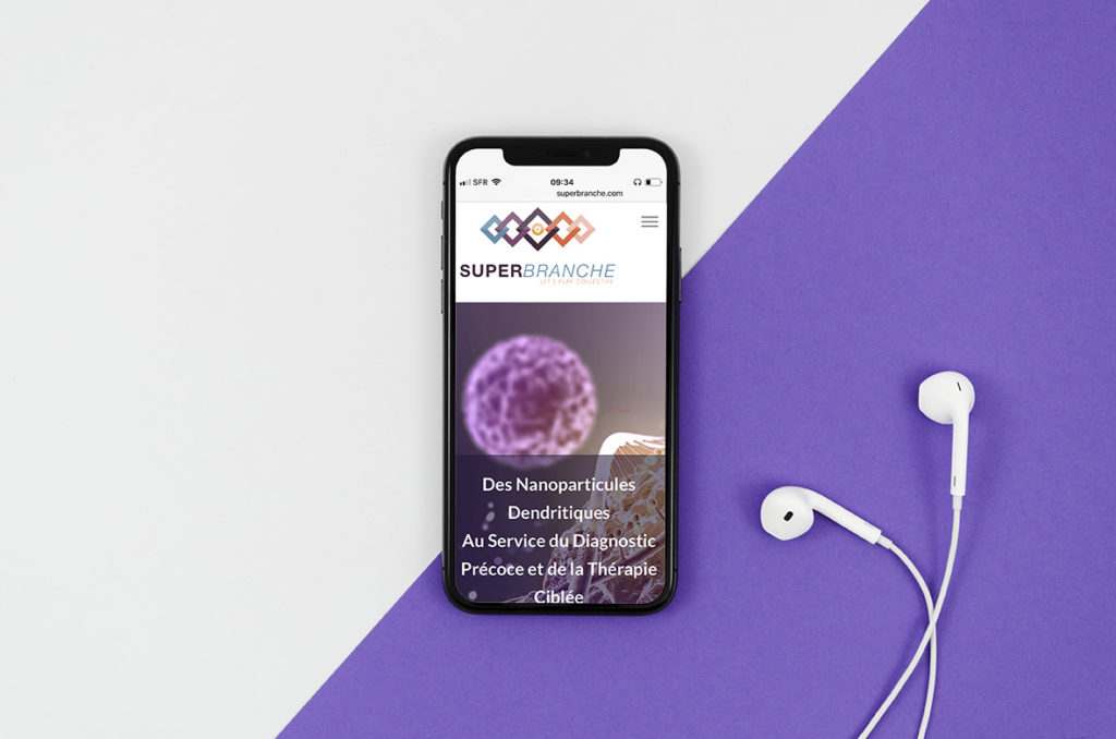 contact Superbranche delphine felder-flesch sylvie Begin-Colin IPCMS CNRS nanomatériaux architecturés iron stearate nanoparticules magnétiques dendrimères dendritiques diagnostic précoce thérapie ciblée oncologie cancer startup nanotechnologie nanomédecine biotechnologie innovation injection intraveineuse imagerie médicale