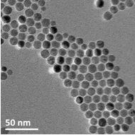 molecule Superbranche delphine felder-flesch sylvie Begin-Colin IPCMS CNRS strasbourg iron stearatenanomatériaux architecturés nanoparticules magnétiques dendrimères dendritiques diagnostic précoce thérapie ciblée oncologie cancer startup nanotechnologie nanomédecine biotechnologie innovation injection intraveineuse imagerie médicale